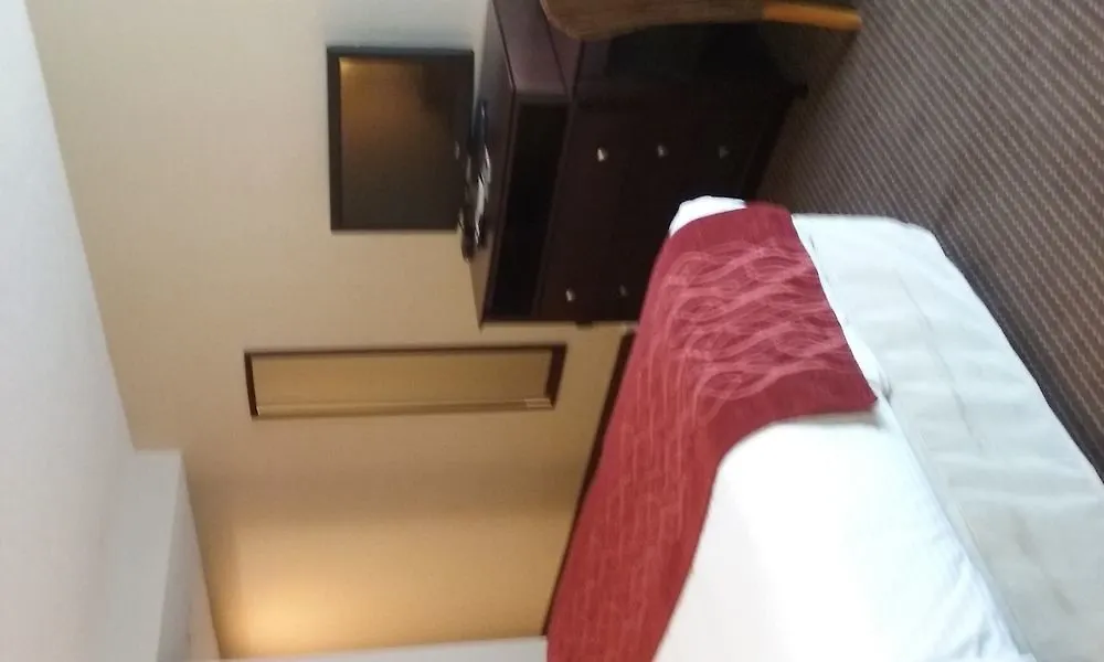 Hotel Wingate By Wyndham Williamsburg